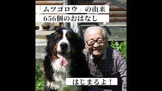 ６５６のはじまり