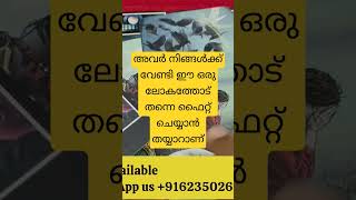 #tarot  വീഡിയോ മുഴുവനായി കാണാൻ താഴെ കൊടുത്തിരിക്കുന്ന ലിങ്കിൽ ക്ലിക്ക് ചെയ്യുക