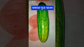 অশ্লীল  ভিডিও।। মেয়েরা শসা  দিয়ে কি করে।। #tiktok #like  #shorts #viralshorts #attitude #pinikbuzz