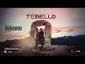 Siwelewele ft Litshepe Lr