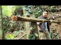 tropical forest survival challenge dÉfi de survie dans la forÊt tropicale desafio de sobrevivÊncia n