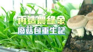 華視新聞短版參賽作品 【廢菇包重生記】 記者：李婉婷 張書堯