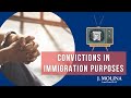 Convictions in Immigration Purposes | J. Molina Law Firm