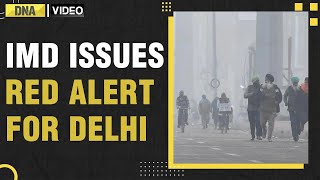 Cold Wave Weather Update: IMD issues RED ALERT for Delhi; Dense Fog engulfs North India | DNA India