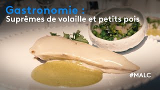 Gastronomie : suprêmes de volailles et petits pois