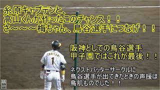 鳥谷選手につなげ！！鳥谷選手、タイガースの選手として最後の甲子園！！2019/9/30甲子園ドラゴンズVSタイガース