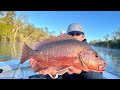 Its Never This Easy, Winter Jacks And Jewfish - Noosa River