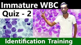 Immature WBC identification Training Quiz -  2/2