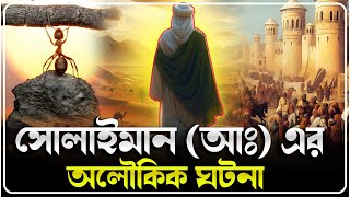 হযরত সোলাইমান আঃ এর অলৌকিক ঘটনা | ইসলামিক কাহিনী | Islamic Moral Story |Muslim Soul