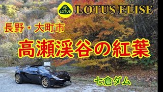 ロータス エリーゼ 高瀬渓谷の紅葉を駆け抜ける！【Lotus Elise】大町ダム～七倉ダム（ロックフィルダム）長野・大町市　紅葉お勧めスポット