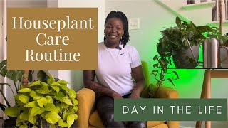 How I Take Care of Over 70 Houseplants and Houseplant Chores | DITL of Plant Enthusiast