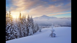 Недільне Богослужіння 05.01.2025