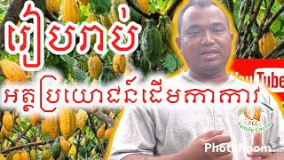 ដំណាំដើមកាកាវ ការរៀបរាប់អត្ថប្រយោជន៍ដំណាំកាកាវ (Description of the benefits of cocoa)0973606475