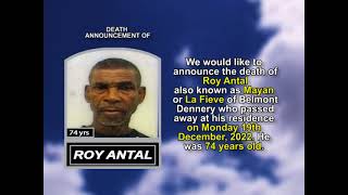 Roy Antal short