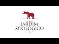 qual a diferença entre arara e papagaio o zoo responde jardim zoológico