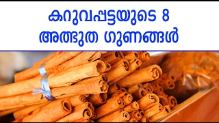 കറുവപ്പട്ടയുടെ ആർക്കും അറിയാത്ത 8 അത്ഭുത ഗുണങ്ങൾ | Malayalam Health Tips | Life Hacks Malayalam