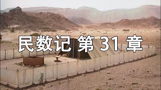 《民数记》 第31章