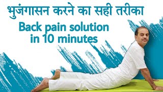 भुजंगासन कैसे करें ? 4 poses of bhujangasana for back pain