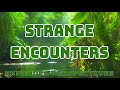 strange encounters