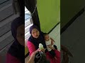 bibi ipat punya paket buat najwan