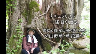 国立公園 定山渓の楽しみ方〈野草・草花篇〉