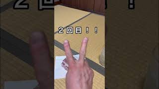 【検証】ピクルス多めチャレンジ☆リベンジ編