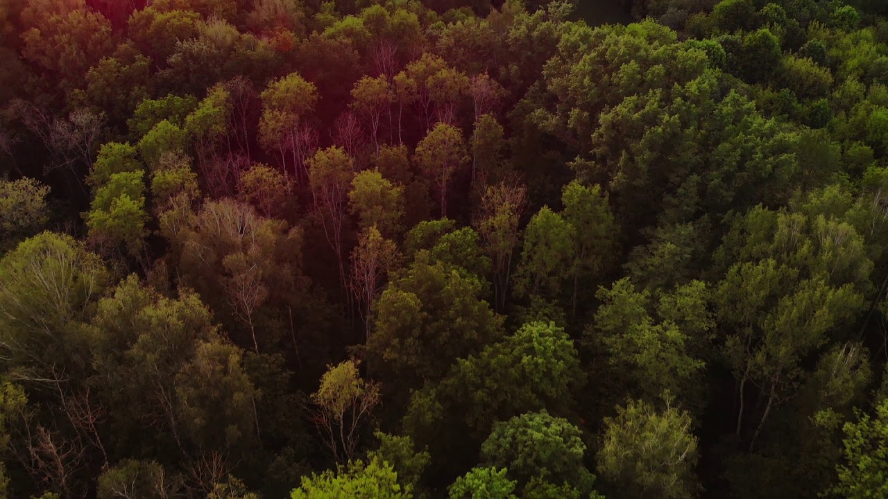 Gettyimages 1152165752 Youtube