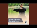 Opal Winds, Reflective Ambient Music