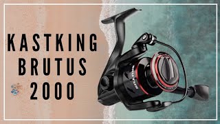 KASTKING Brutus Disassembly