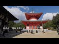 紅葉時期を迎えた秋の高野山へ 和歌山県伊都郡高野町 壇上伽藍 金剛峯寺 奥の院