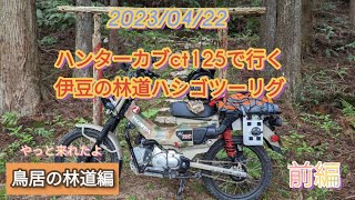 ハンターカブct125行く　伊豆の林道ハシゴツーリング　鳥居の林道　前編