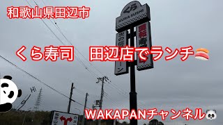 和歌山県田辺市　くら寿司　田辺店でランチ🍣WAKAPANチャンネル🐼