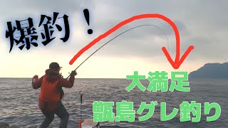 【爆釣】聖地甑島のグレ釣り！後編　ついに、相棒と別れます・・・