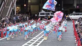 「舞華」 町田夢舞生ッスイ祭2022 東急会場 2022 11 13（日）