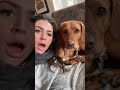 my dog was more shocked then me 🐶🤣 comedy comedyshorts