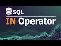 SQL Tutorial for Data Analysis 10: IN Opeartor