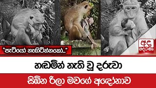 හඬමින් නැති වූ දරුවා සිඹින රිලා මවගේ අඳෝනාව - ''පැටියෝ නැඟිටින්නකෝ...\