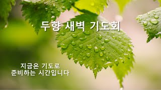 두향새벽기도회 (12월04일 수요일)