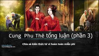 Cung Phu Thê tổng luận ( Phần 3)