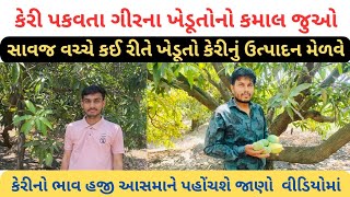 ગીરના ખેડૂતોનો કમાલ જુઓ | કેરીનો ભાવ | કેસર કેરી | Girna Khedut | Kesar Mango Junagadh | Samachar