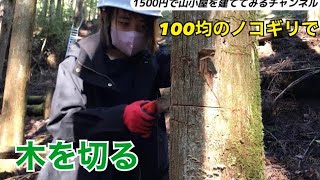 1500円で山小屋を建ててみる〜3日目〜100円ショップのノコギリで木を切ってく編（前編）