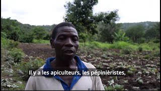 Togo : vers une gestion plus durable des forêts