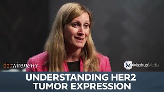 Gaining an Enhanced Understanding of HER2 Expression in Breast Cancer