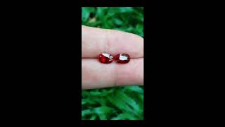 Pigeon's Blood Ruby No Heat 4.17 cts / 2 pcs