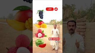 Rounding coconut to Grapes, Mango, lichi \u0026Watermelon - Fruits names magic video