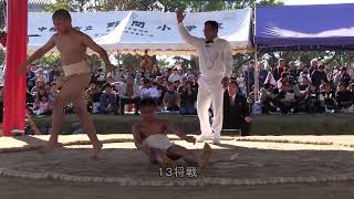 種子島のイベント：第52回種子島相撲大会小学生・中学生・一般団体戦ダイジェスト