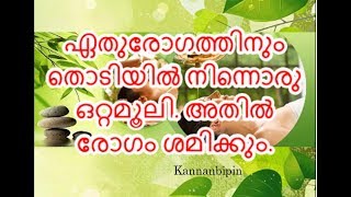 ayurvedic health tips in malayalam 101  ഒറ്റമൂലികള്‍ Ottamooli or single medicine