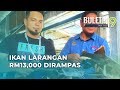 150 Ekor Ikan Larangan Bernilai Lebih RM13,000 Disita