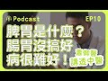 脾胃是什麼？腸胃不好病情小心捲土重來！｜蕭御醫講透中醫podcast ep10