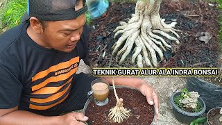 CARA MUDAH BIKIN KARAKTER BONSAI SANCANG #shorts #tutorial #bonsai #bonsaisancang #bonsai